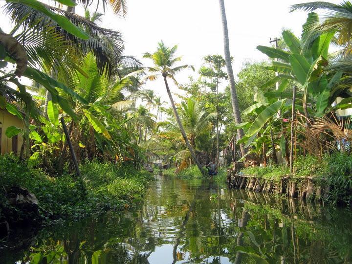 Alapatt Homestay Alappuzha Eksteriør billede
